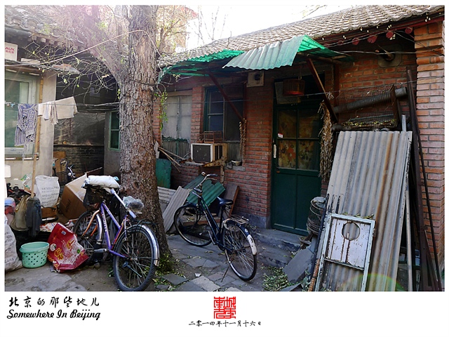 查看更多精彩图片