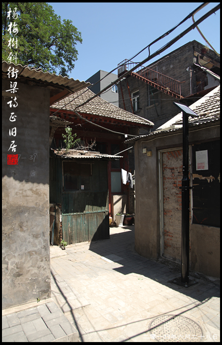 查看更多精彩图片
