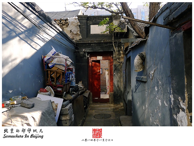 查看更多精彩图片