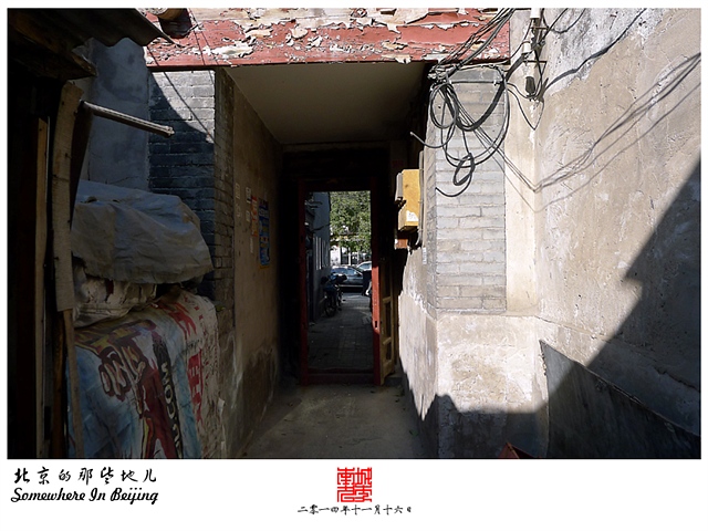 查看更多精彩图片
