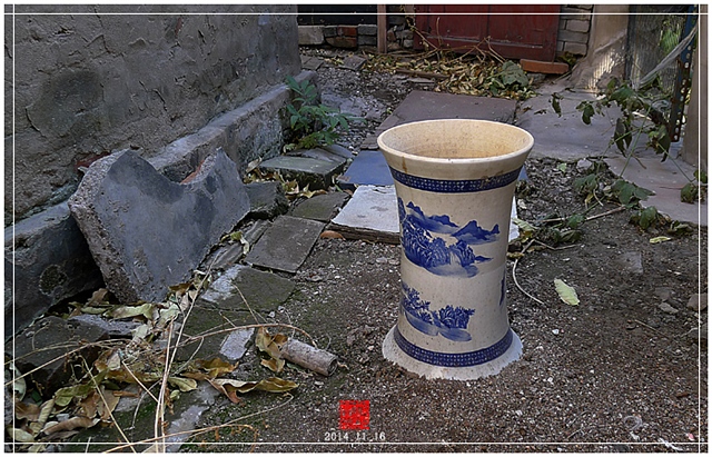 查看更多精彩图片