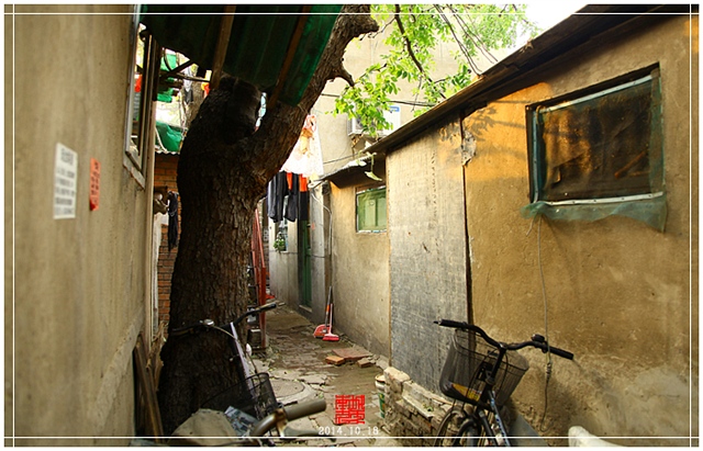查看更多精彩图片