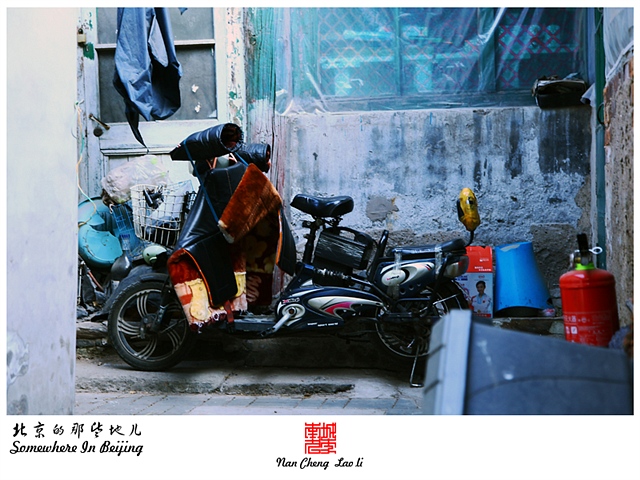 查看更多精彩图片