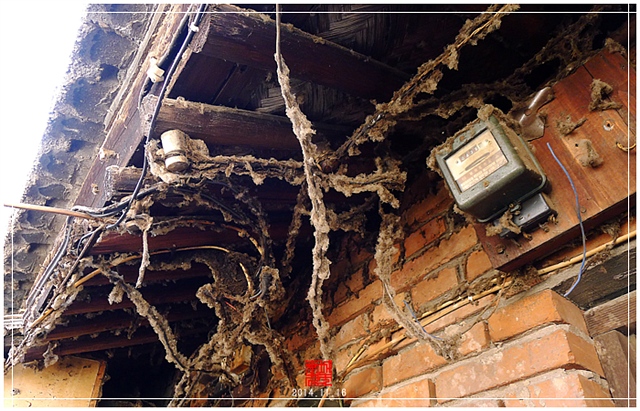 查看更多精彩图片