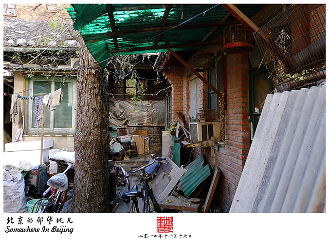 查看更多精彩图片