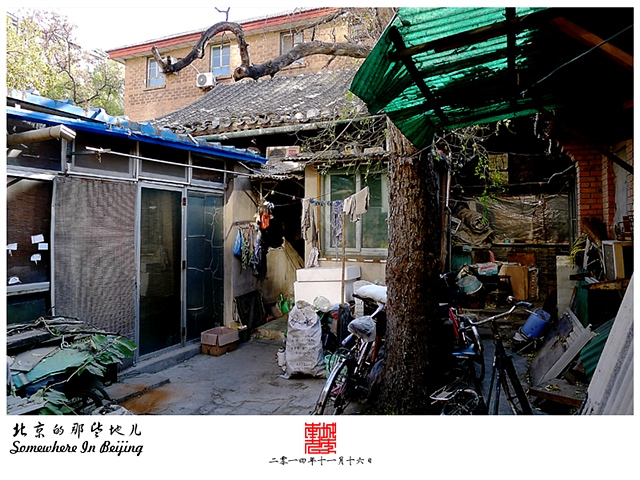 查看更多精彩图片