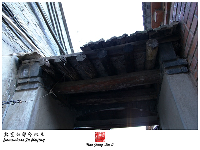 查看更多精彩图片