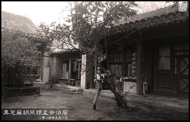 查看更多精彩图片