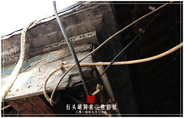 查看更多精彩图片