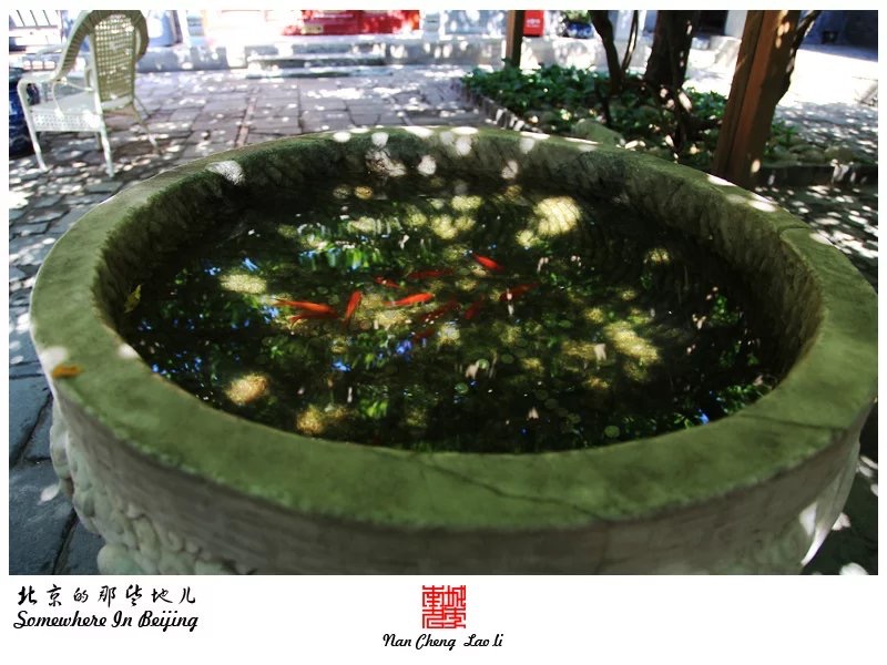 clip_image017.jpg