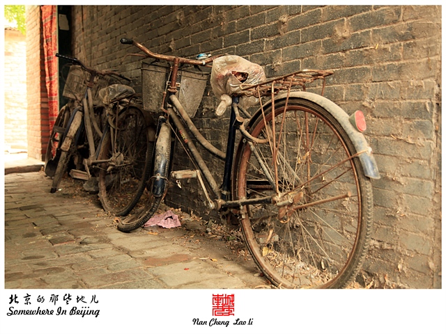 查看更多精彩图片