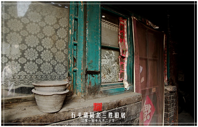 查看更多精彩图片