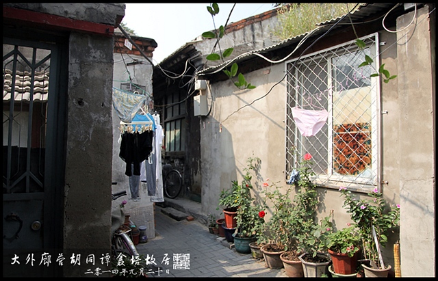 查看更多精彩图片