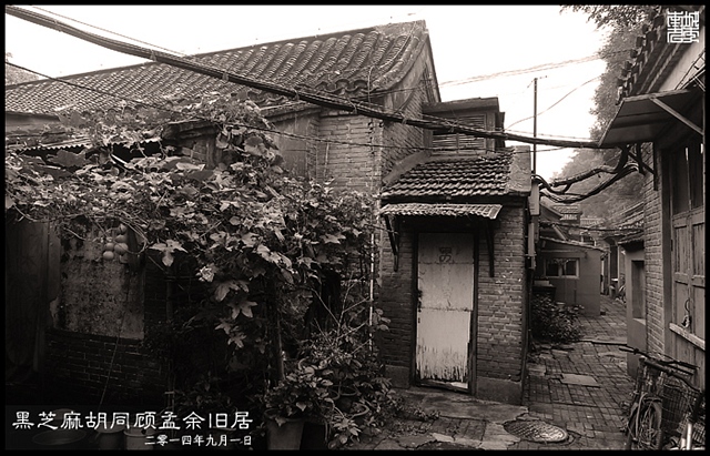 查看更多精彩图片
