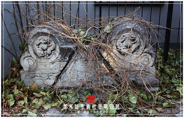 查看更多精彩图片