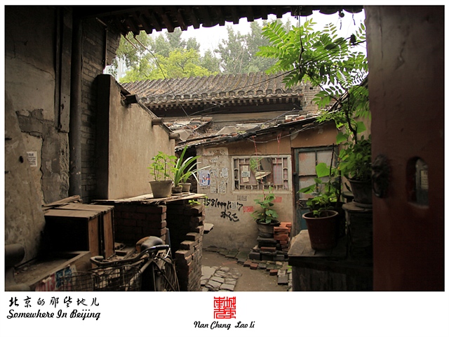 查看更多精彩图片