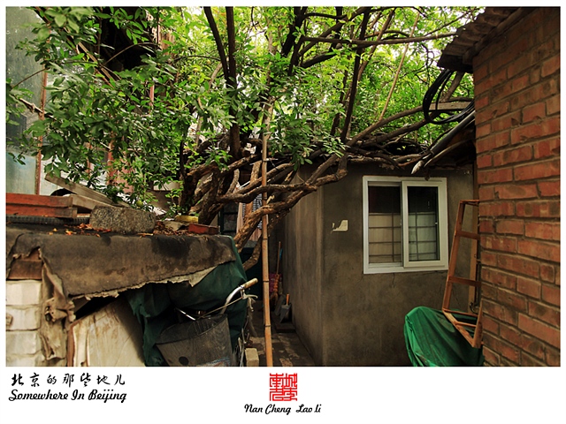 查看更多精彩图片