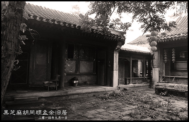 查看更多精彩图片