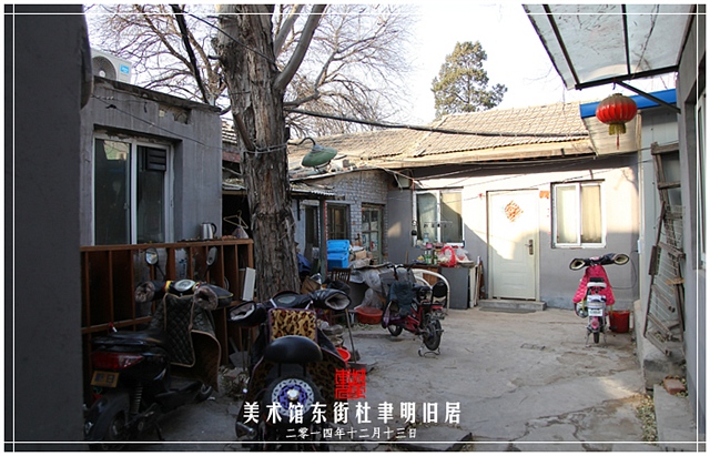 查看更多精彩图片