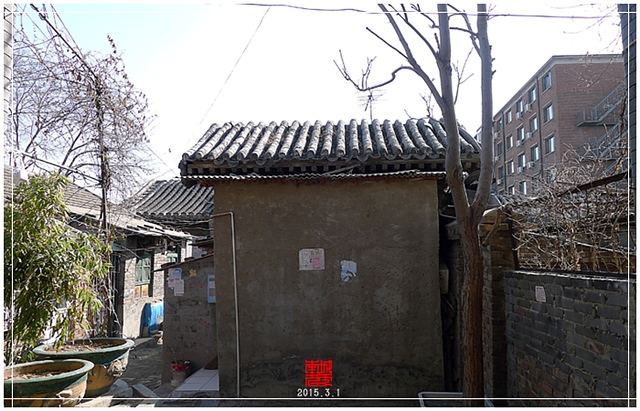 查看更多精彩图片