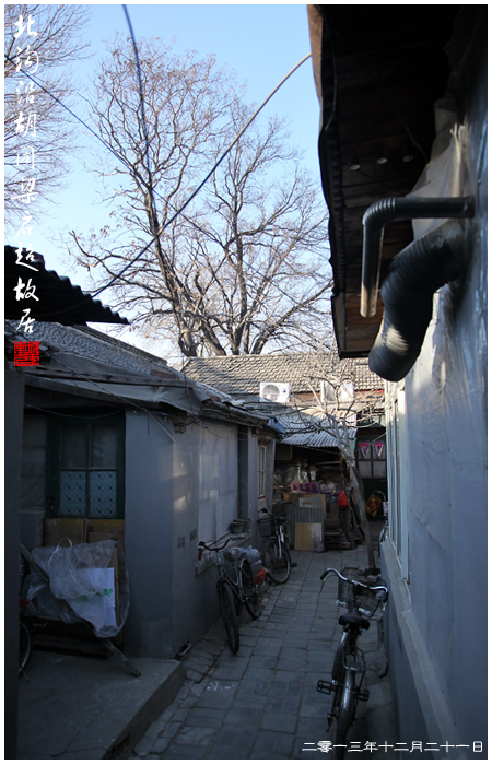 查看更多精彩图片