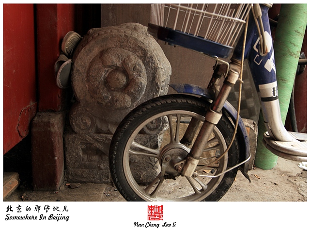 查看更多精彩图片
