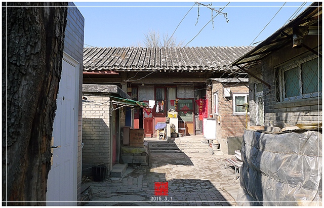 查看更多精彩图片