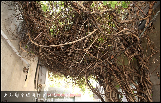查看更多精彩图片