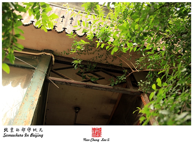查看更多精彩图片