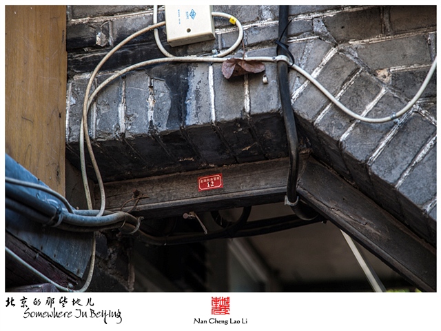 查看更多精彩图片