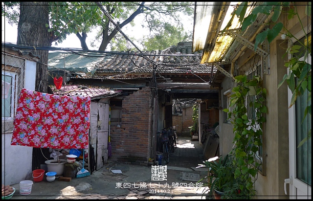 查看更多精彩图片