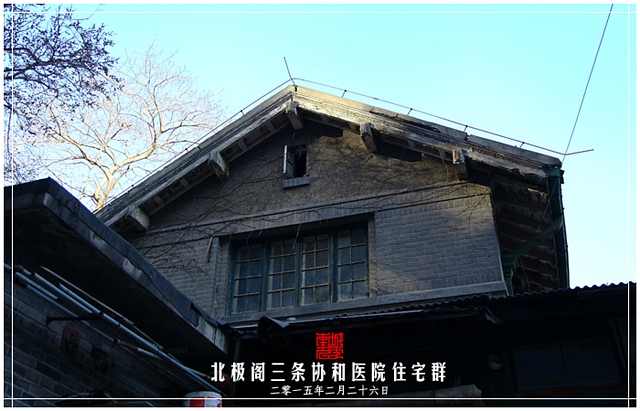 查看更多精彩图片