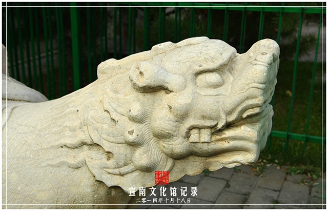 查看更多精彩图片