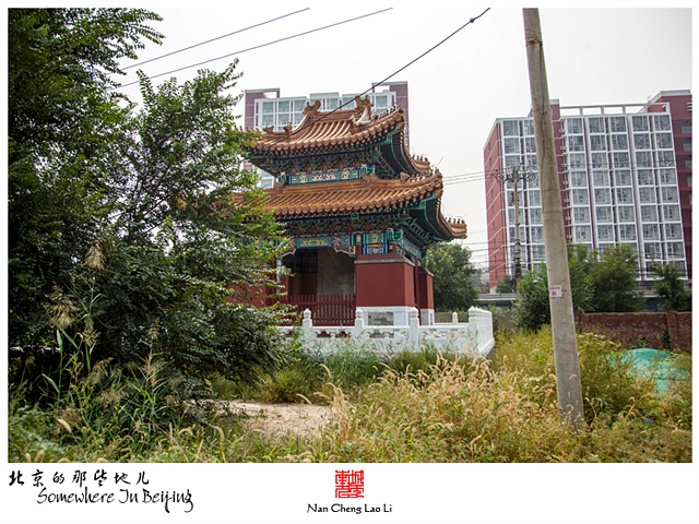 查看更多精彩图片