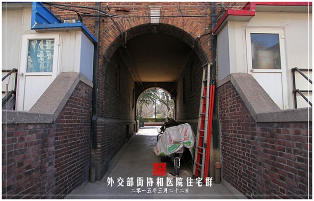查看更多精彩图片