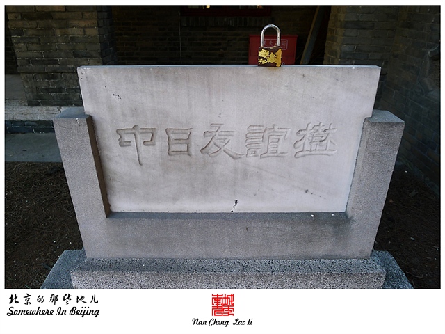 查看更多精彩图片
