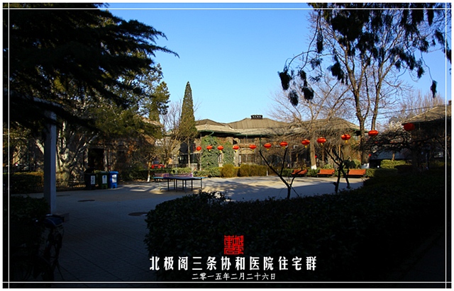 查看更多精彩图片