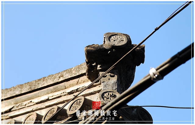 查看更多精彩图片