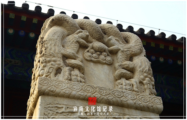 查看更多精彩图片