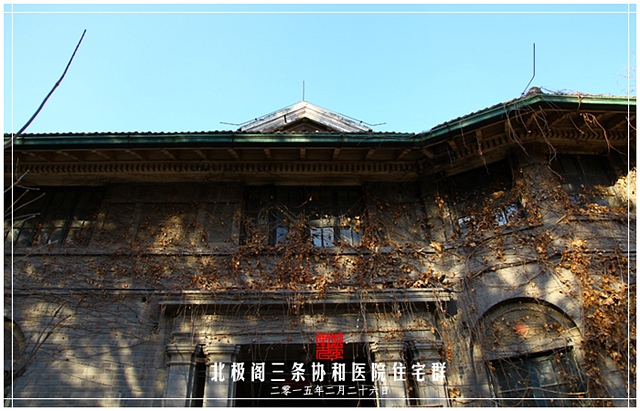 查看更多精彩图片