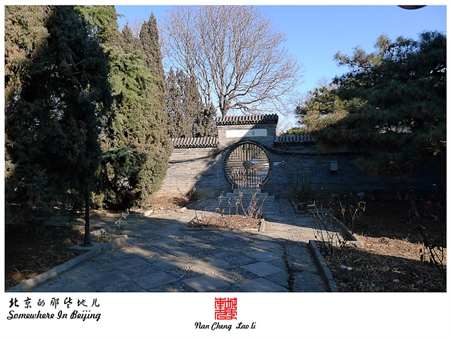 查看更多精彩图片