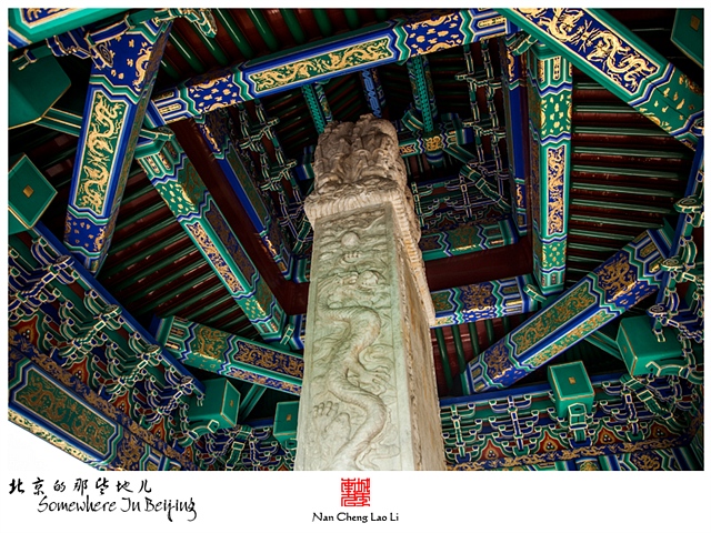 查看更多精彩图片