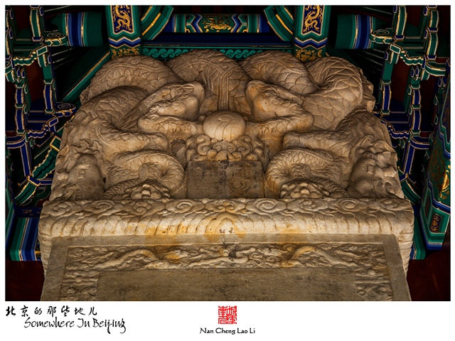 查看更多精彩图片