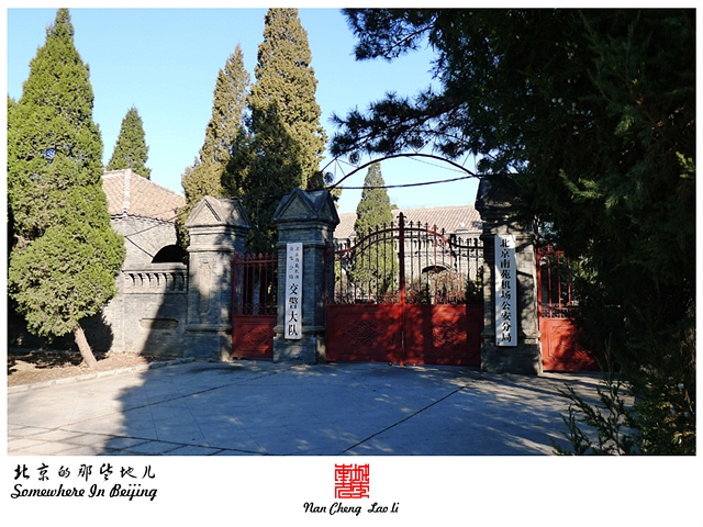 查看更多精彩图片