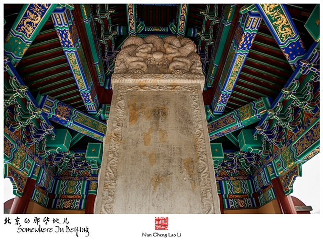 查看更多精彩图片