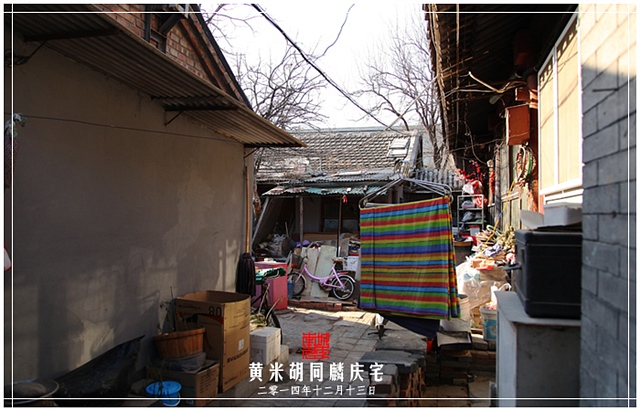 查看更多精彩图片
