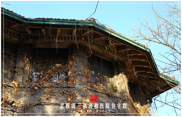 查看更多精彩图片