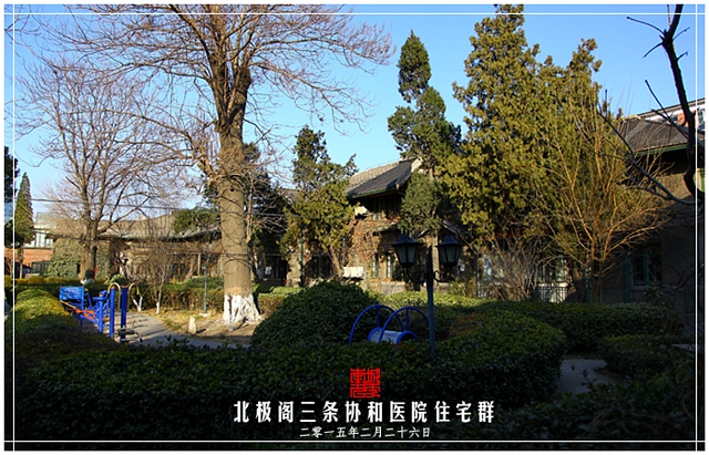 查看更多精彩图片