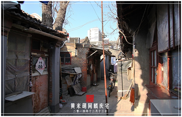 查看更多精彩图片