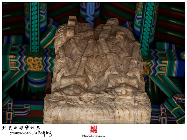 查看更多精彩图片
